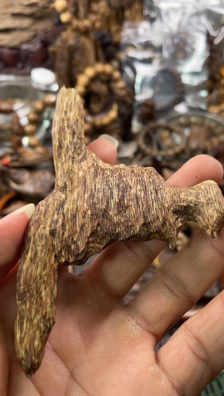 沉香沉香碎屑?***?沉香  越南芽庄 