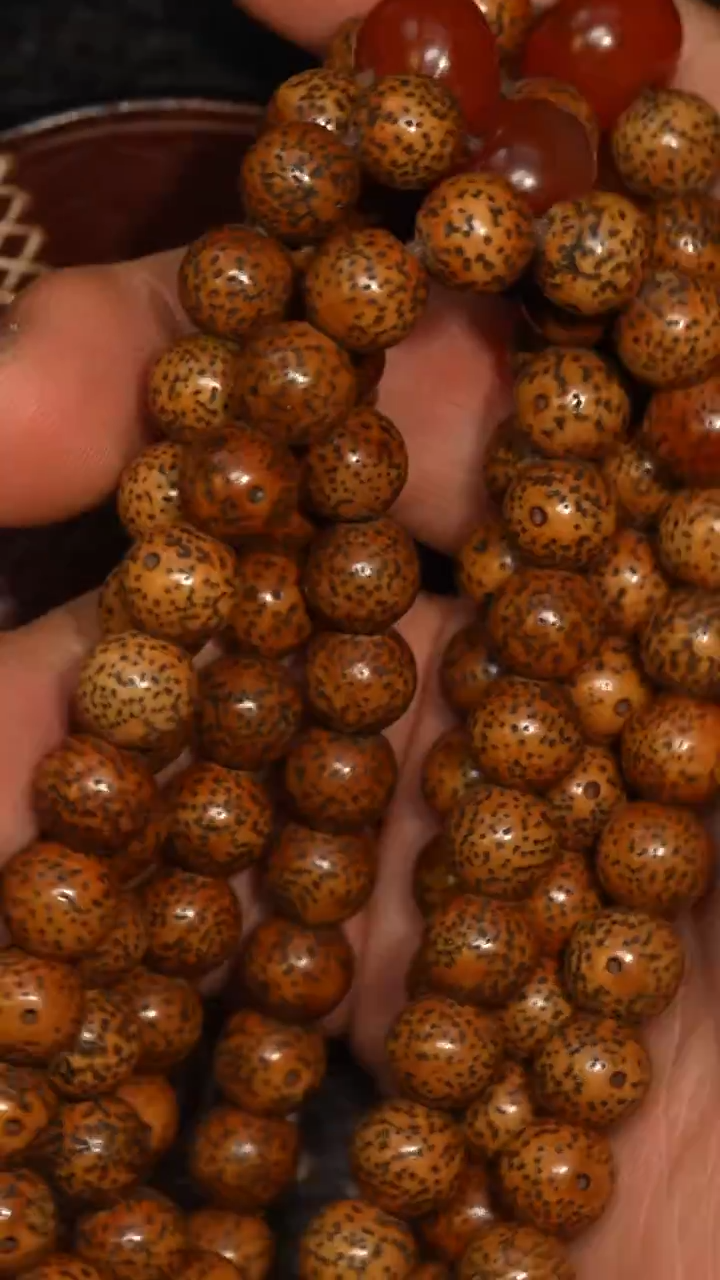 冲赛康胡子哥，藏传念珠255