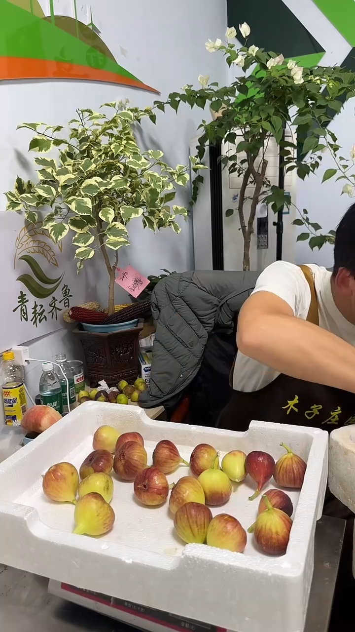 ?****童考黑无花果30枚