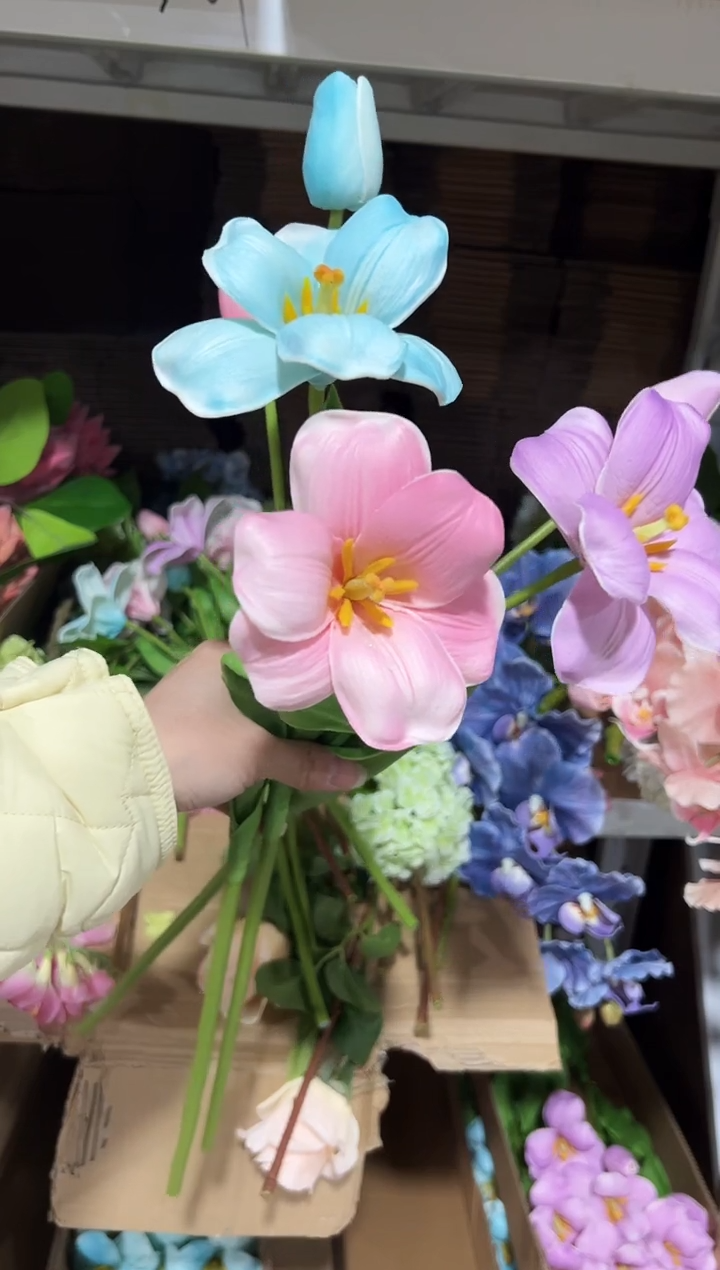 枝混色2头布朗尼