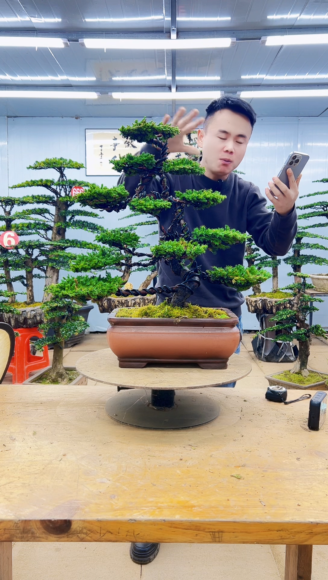 无花朵0000000000000000000000000