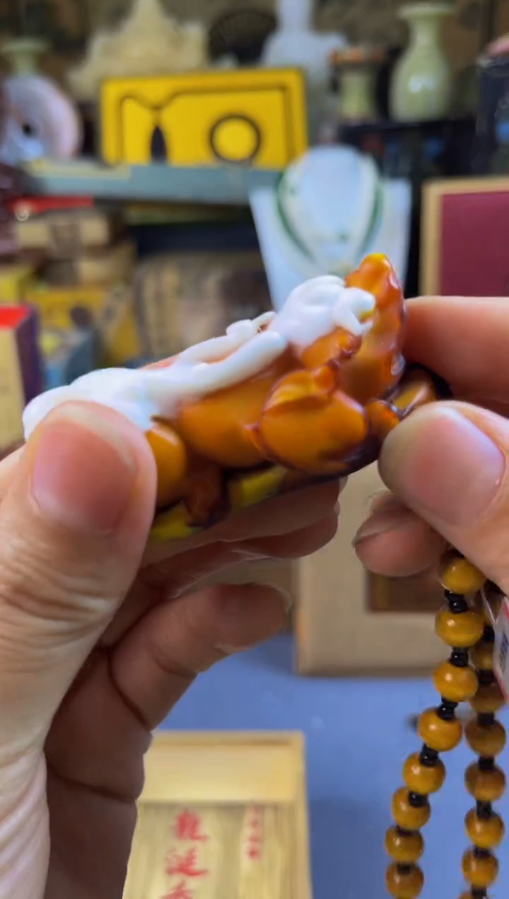 摆件贝壳————————————————