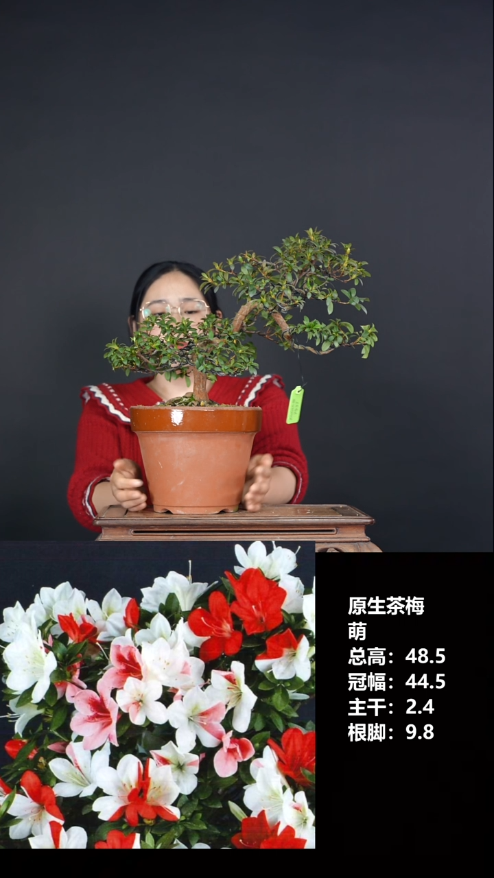 无花朵w**@萌-G7937