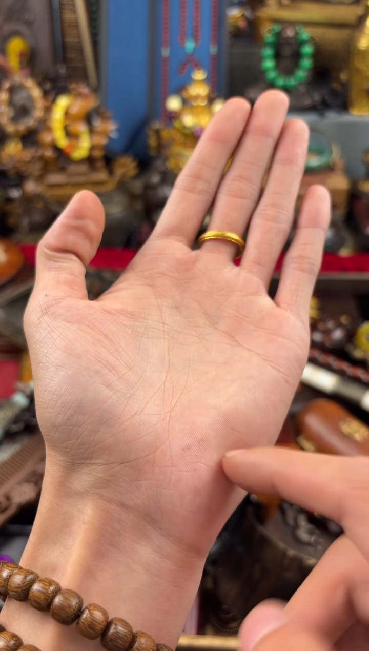 11小七甄选所见及所得老鼠