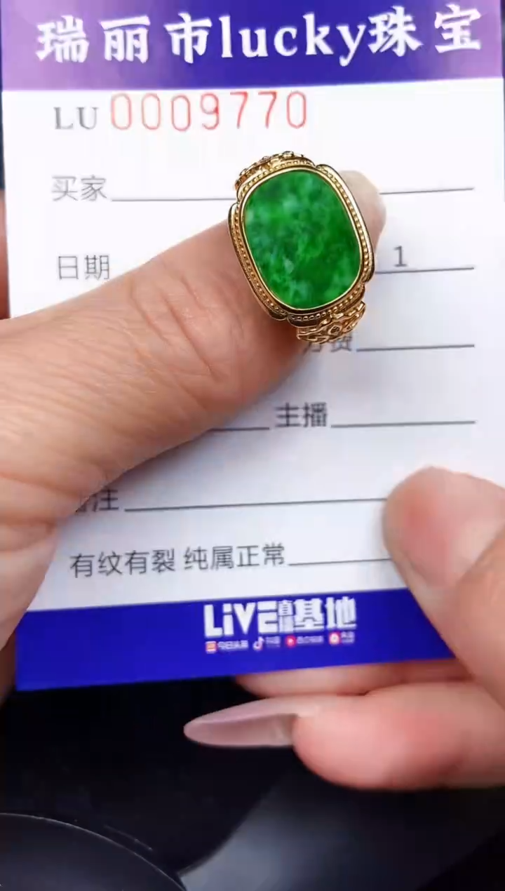 翡翠银S925镶嵌颈饰9770