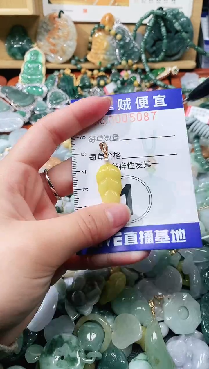 【闪购商品】翡翠颈饰未镶嵌闪购0005087
