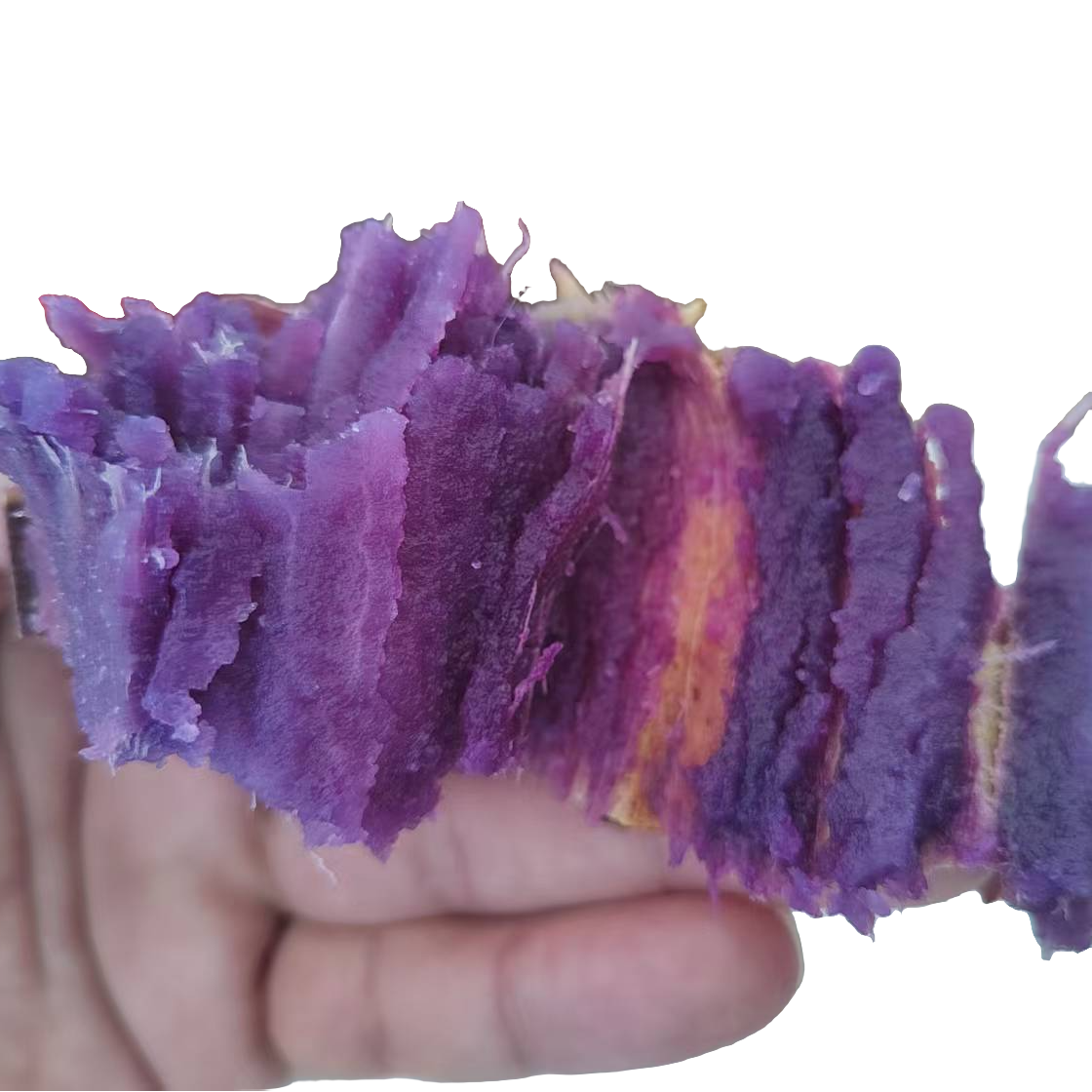 百变果蔬清芹生吃的水果清芹 甘甜脆嫩天津市