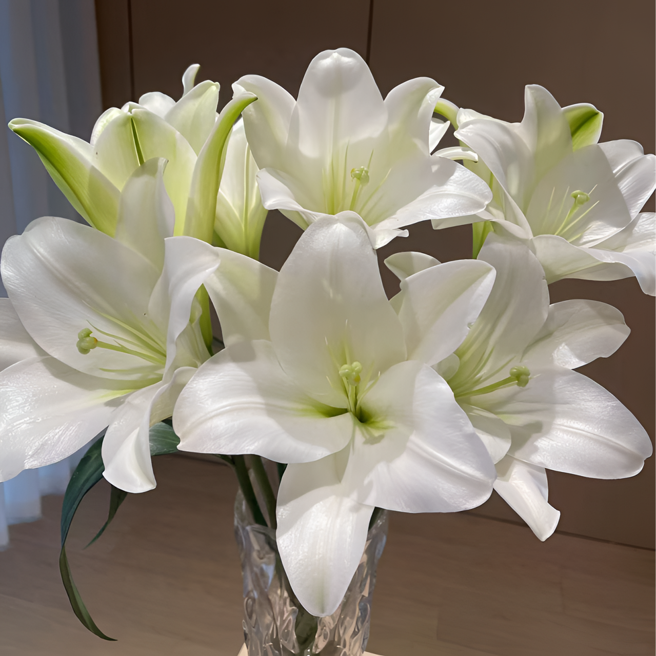 【1头】白铁炮百合 生花苞小 生花苞发货 任意2单以上发货包邮