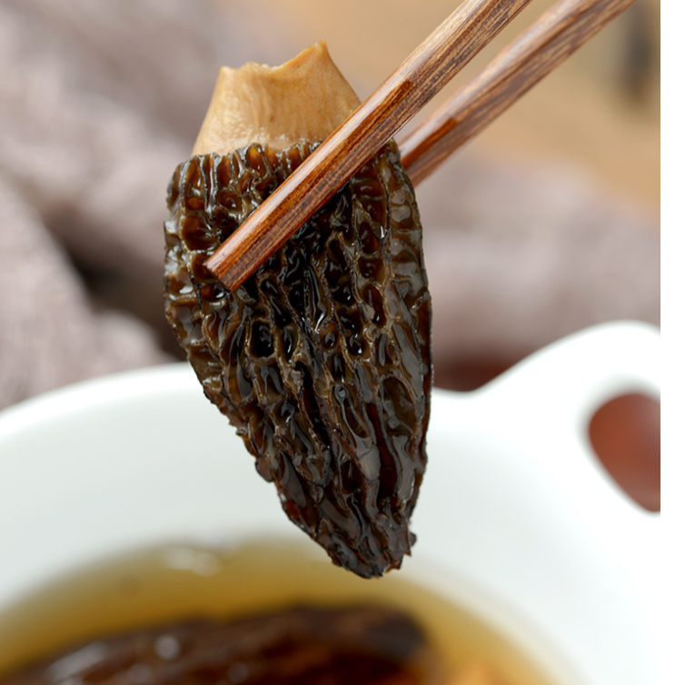 精品煲汤必备羊肚菌