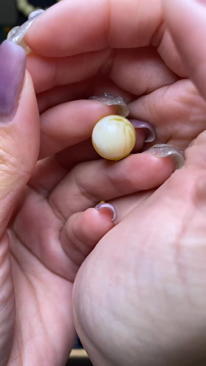 【闪购商品】琥珀裸石未镶嵌葵. 76