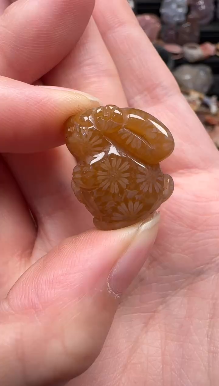 颈饰未镶嵌硅化珊瑚（珊瑚玉）665