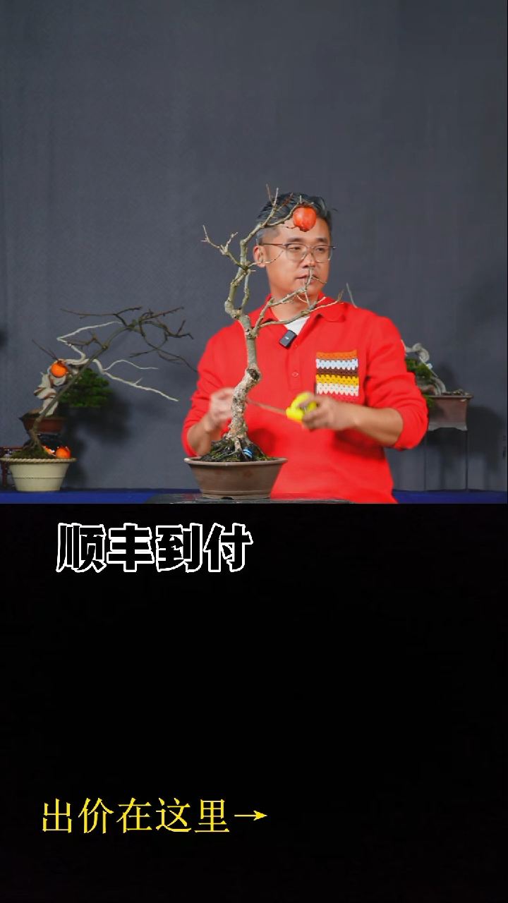 无花朵山柿bubaoyou