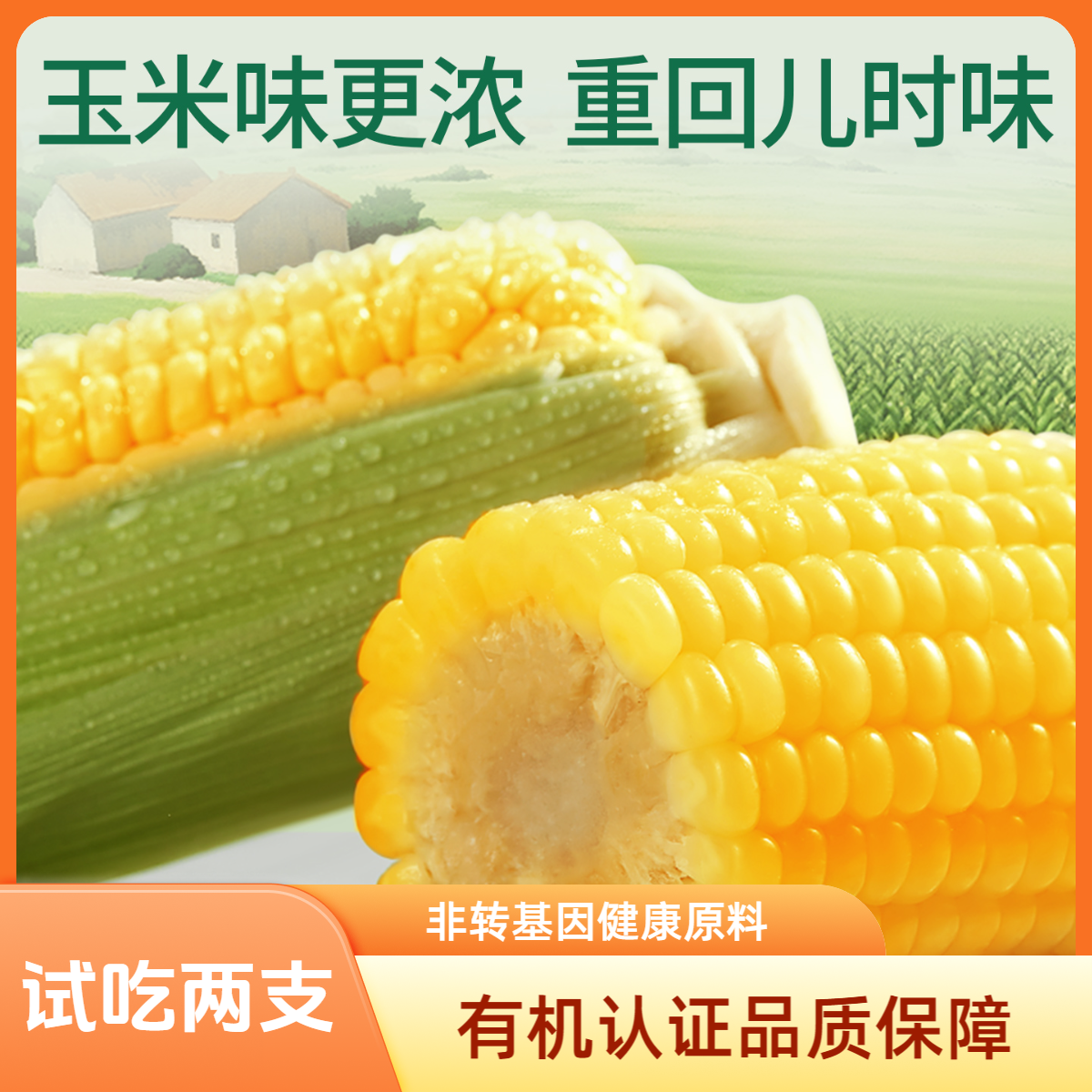 天勤粒粒净ZB铝箔黄甜糯有机玉米全新品种口感升级300g*7