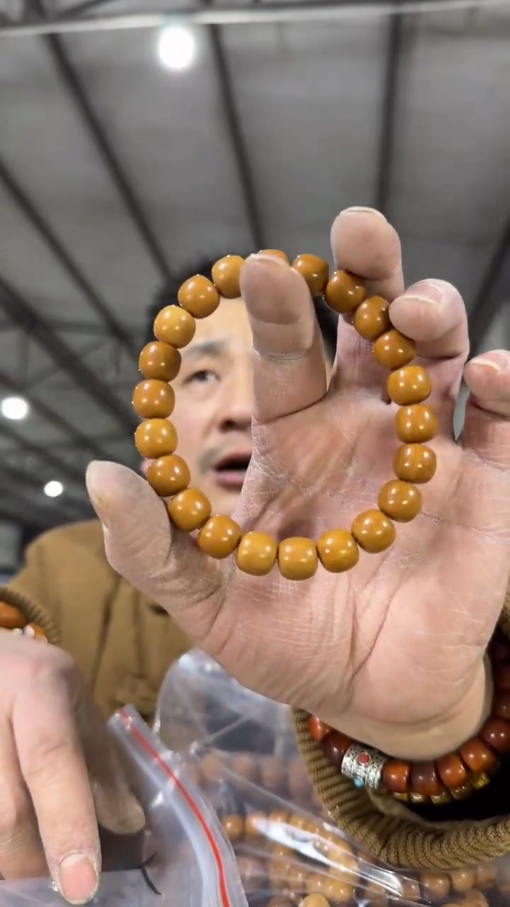 【闪购商品】金刚菩提手串H176实物为准