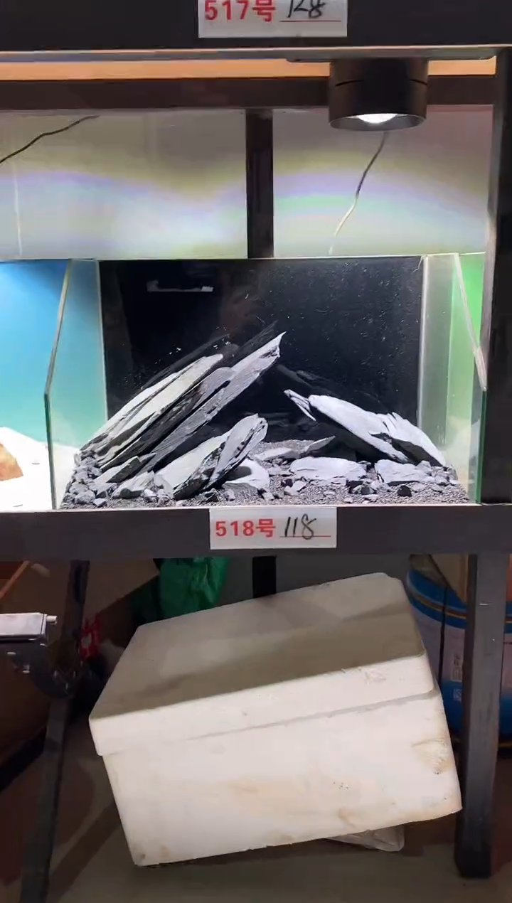 518号鱼缸造景（不含底砂） 