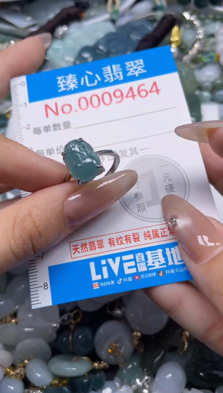 颈饰未镶嵌翡翠9464