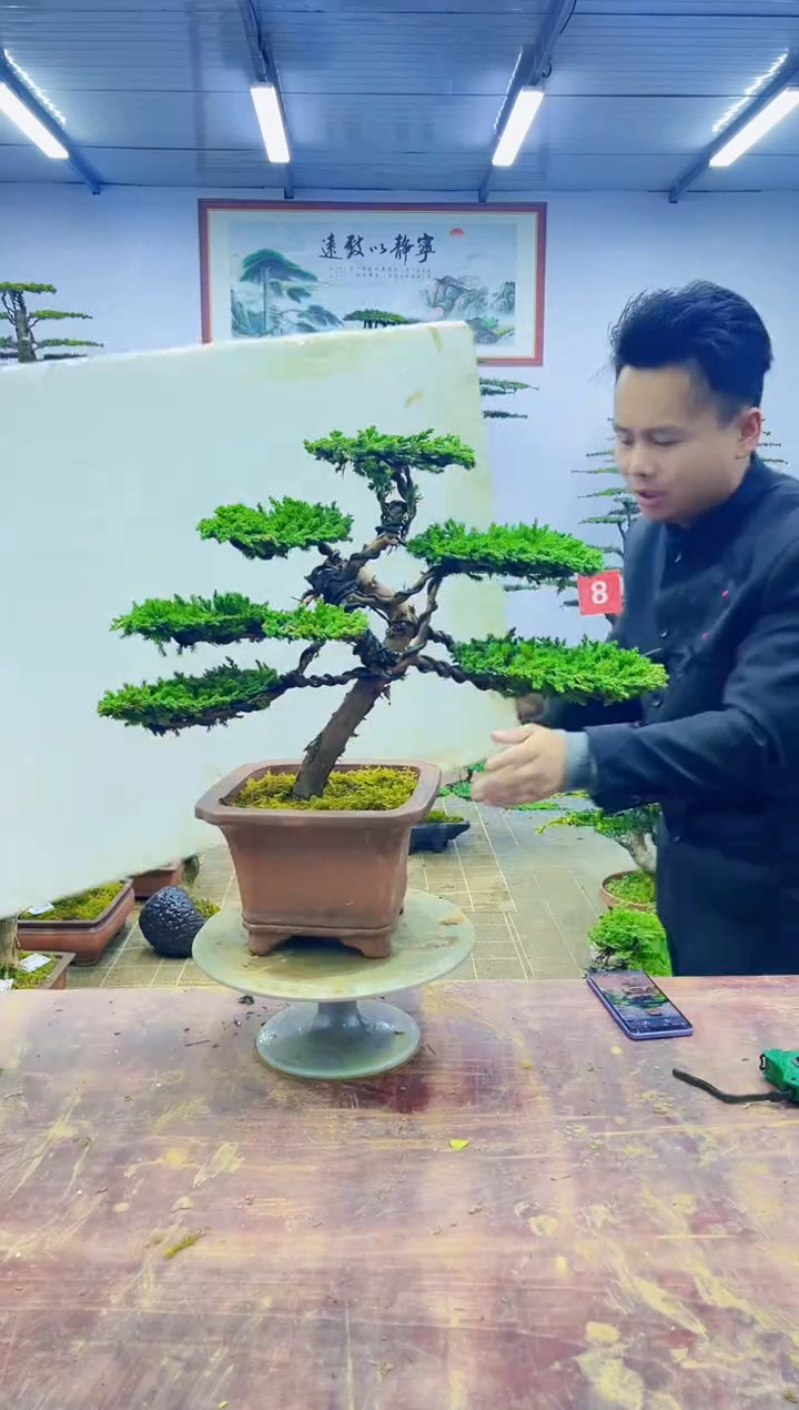 【闪购商品】一物一拍，所见即所得