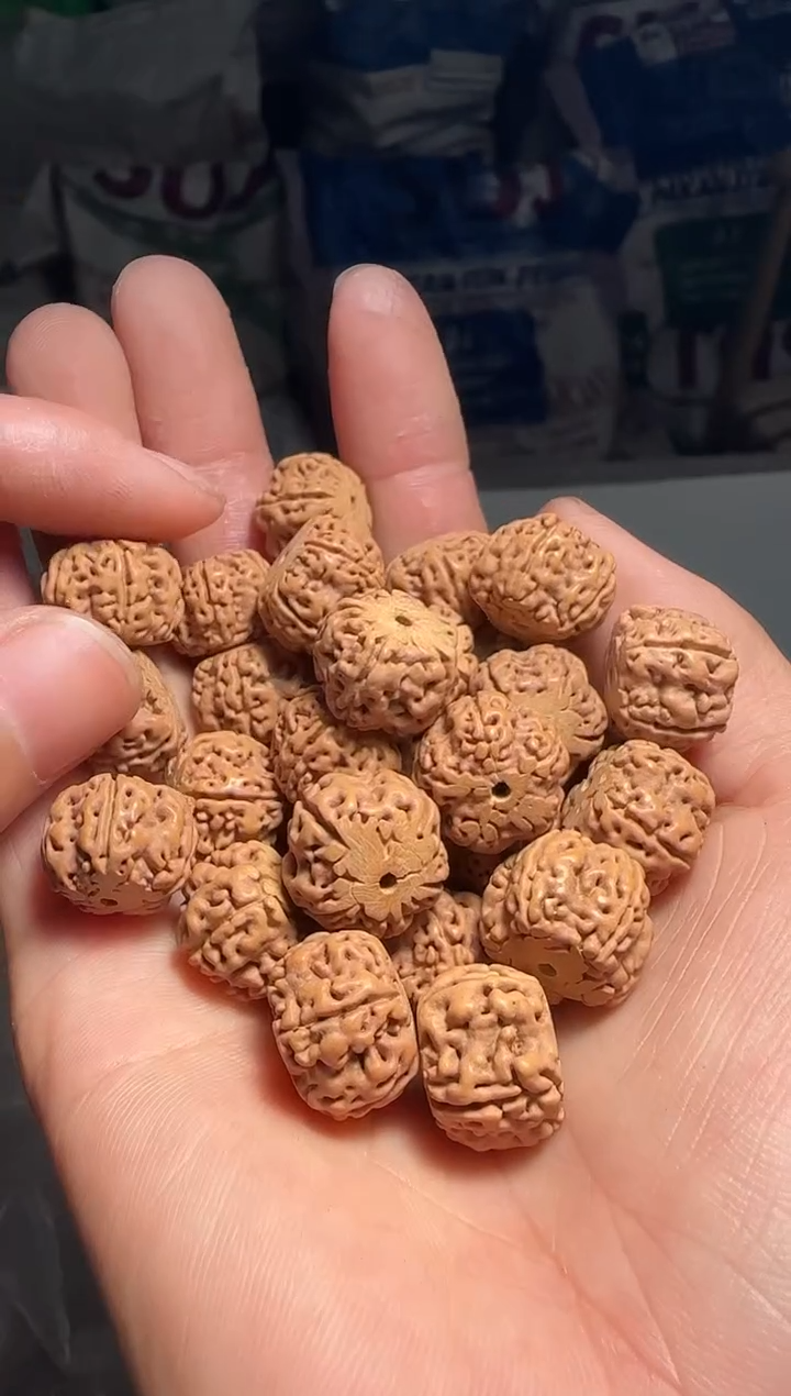 手串金刚菩提全品龙切老树玉梅花散籽16mm一份五十颗