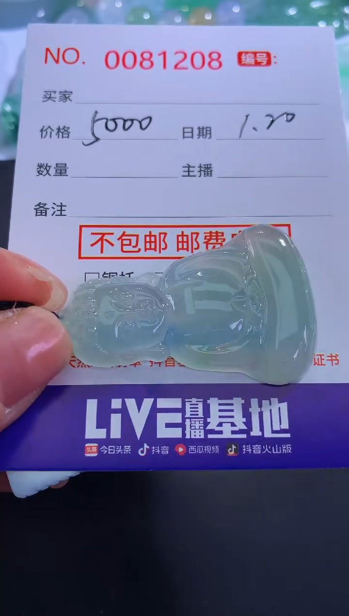 【闪购商品】翡翠颈饰未镶嵌！