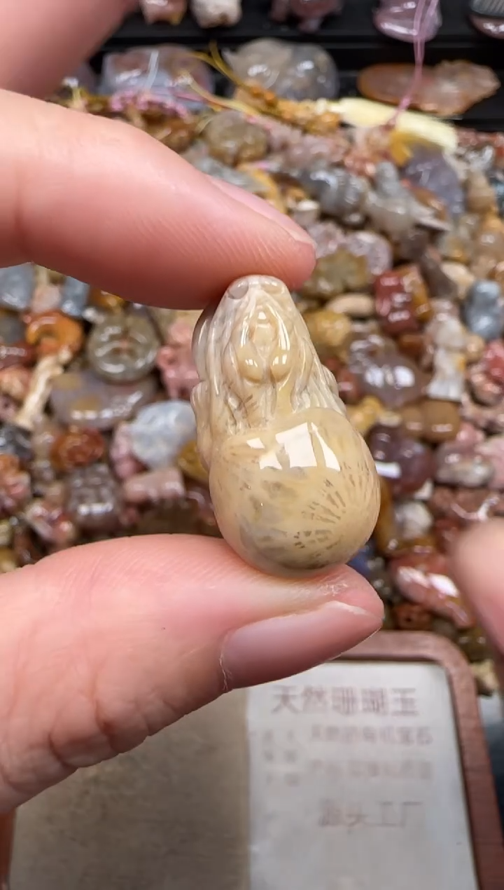 硅化珊瑚（珊瑚玉）未镶嵌颈饰530