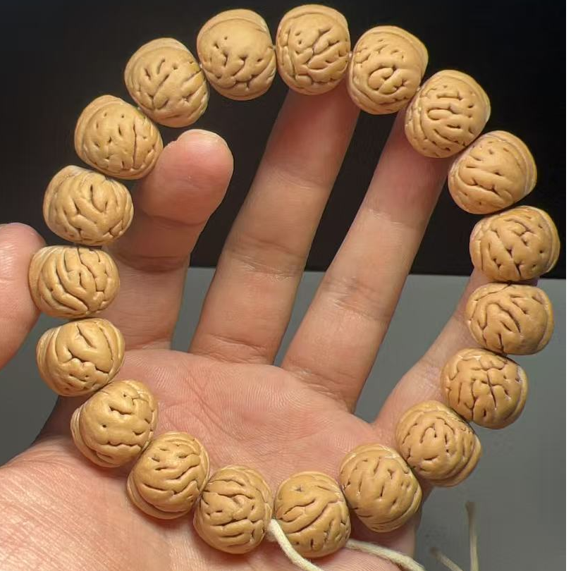 1.4（超级大肠）野生桃核28