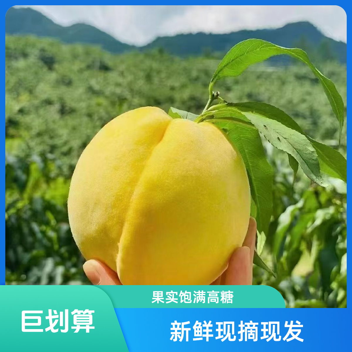 10斤顺丰 炎陵高山黄桃 锦绣黄桃 自产自销湖南省