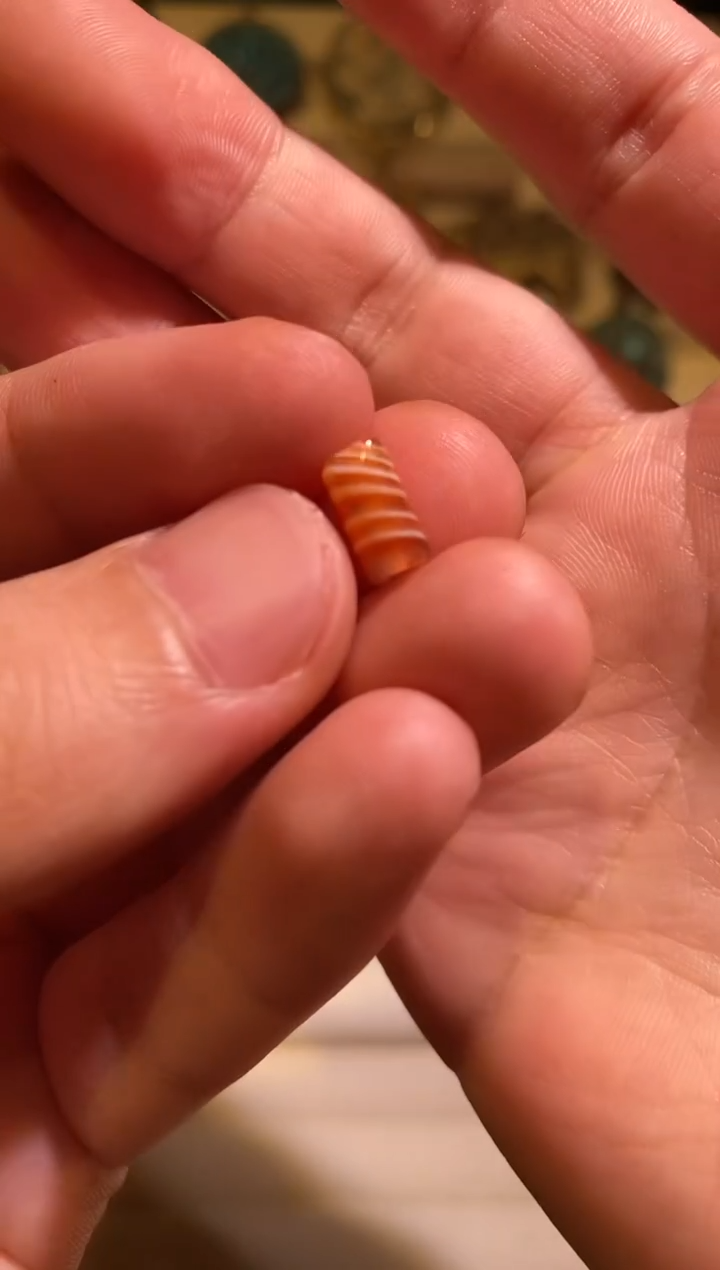 未镶嵌玛瑙/玉髓珠宝奇石三文鱼 小缠丝 9.3x4.8