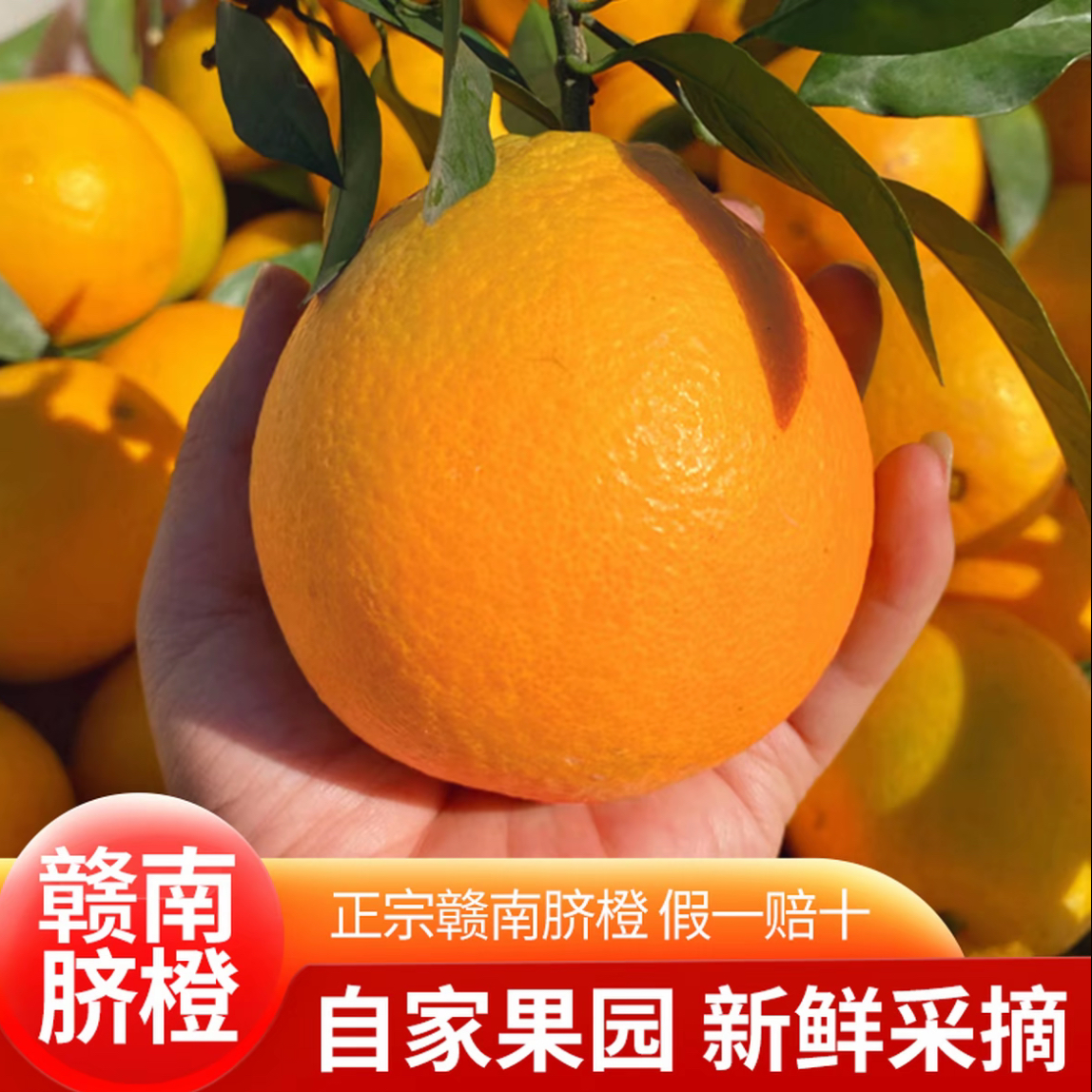 【次日达】正宗赣南脐橙信丰脐橙江西赣南脐橙产地直发tz江西省