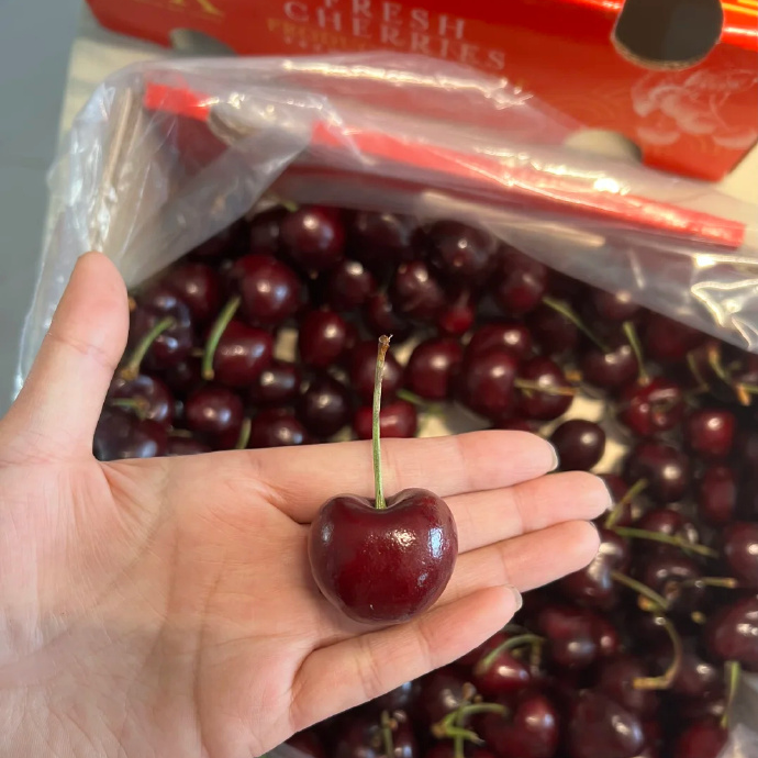 【整箱】进口车厘子 约5斤/箱（内附果径卡26-28mm）J/空运桑提娜几内亚