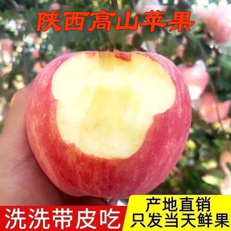 陕西正宗高山苹果水果新鲜当季红富士冰糖心脆甜丑苹果包邮