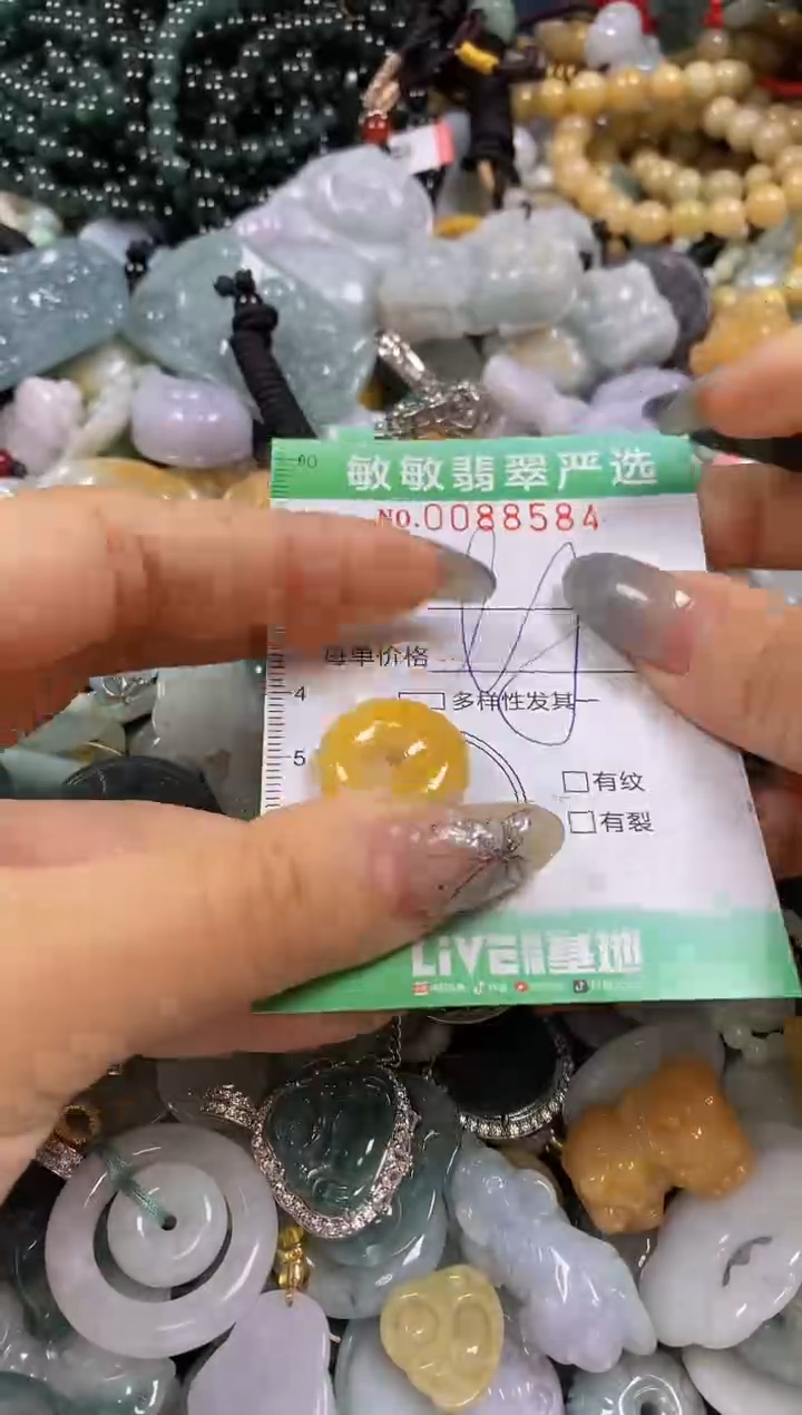 【闪购商品】翡翠颈饰未镶嵌闪购0088584