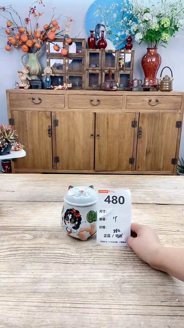 【闪购商品】红陶480