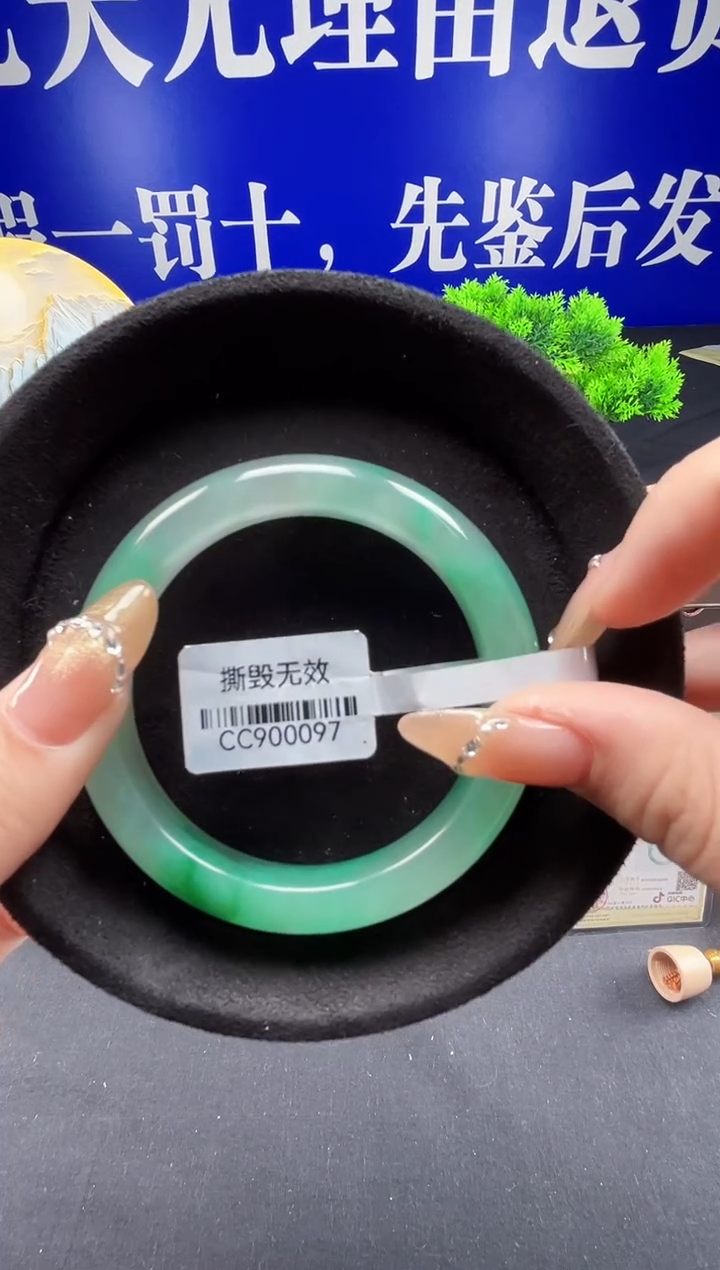 未镶嵌手镯石英质玉（非洲翠）圈口58