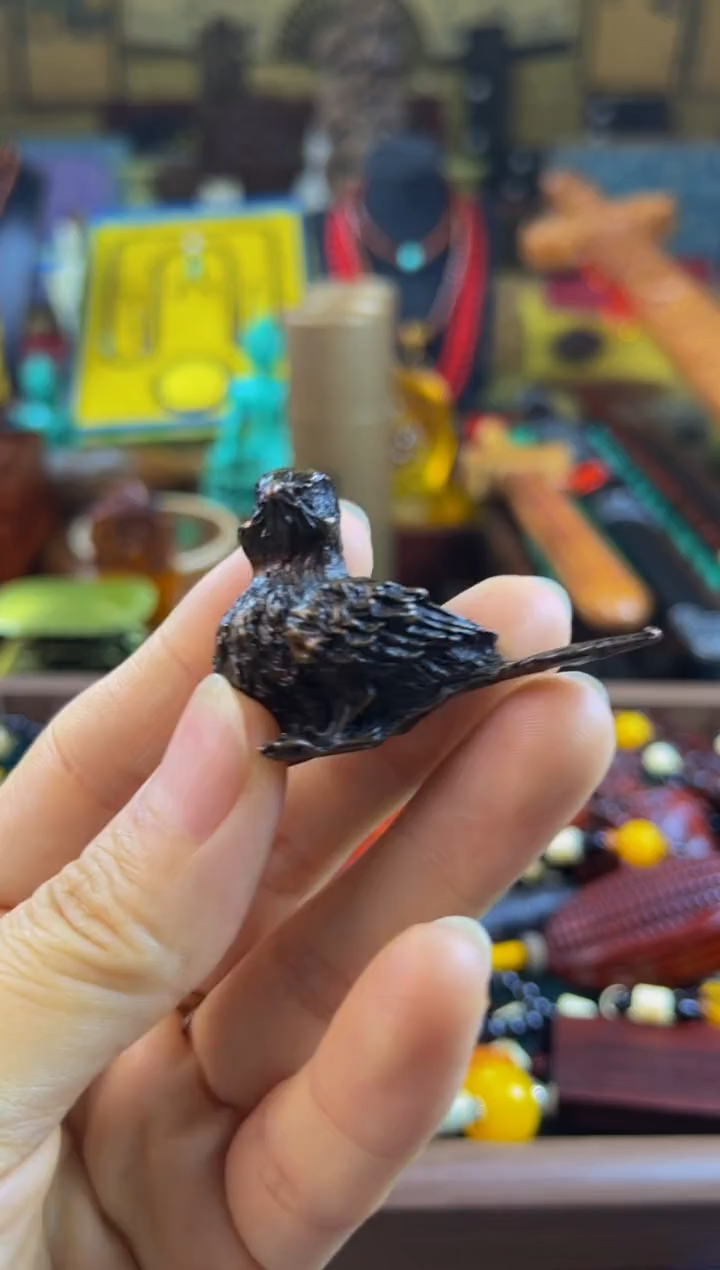 林氏直播精选推荐