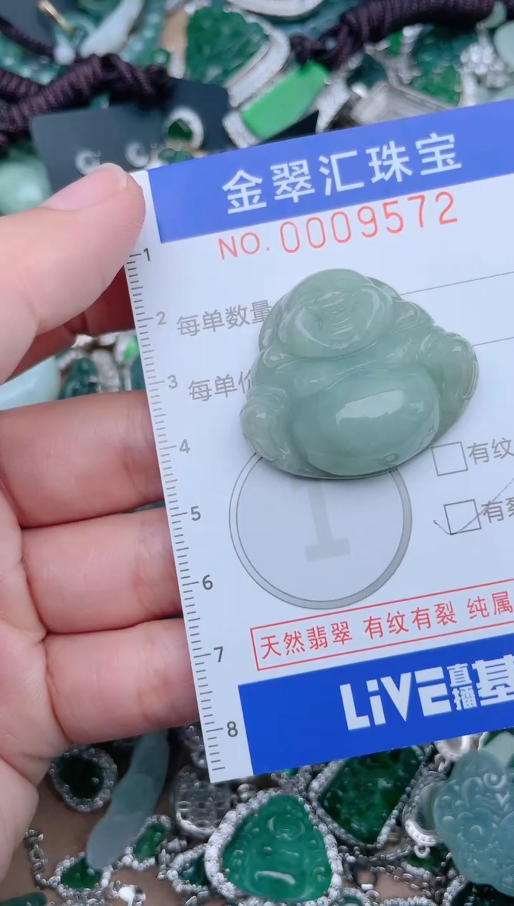 【闪购商品】翡翠颈饰未镶嵌9572...1