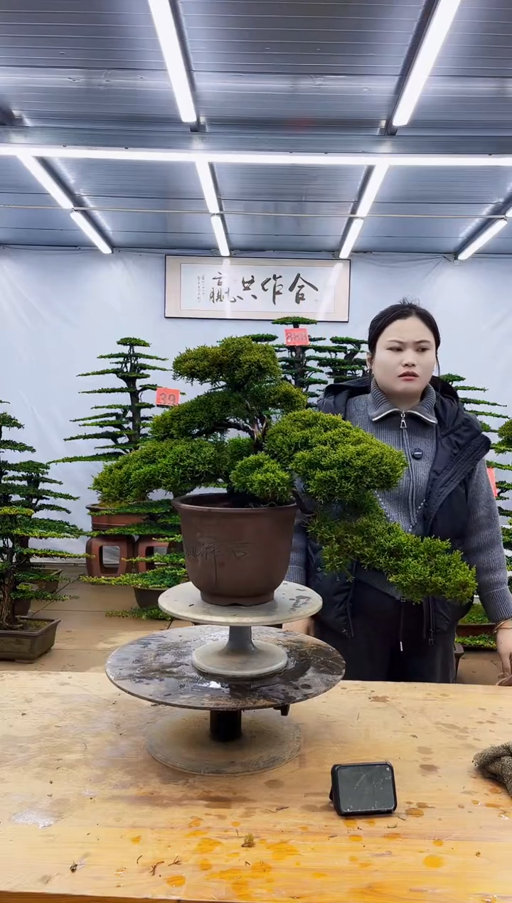 无花朵一物一拍，所见即所得