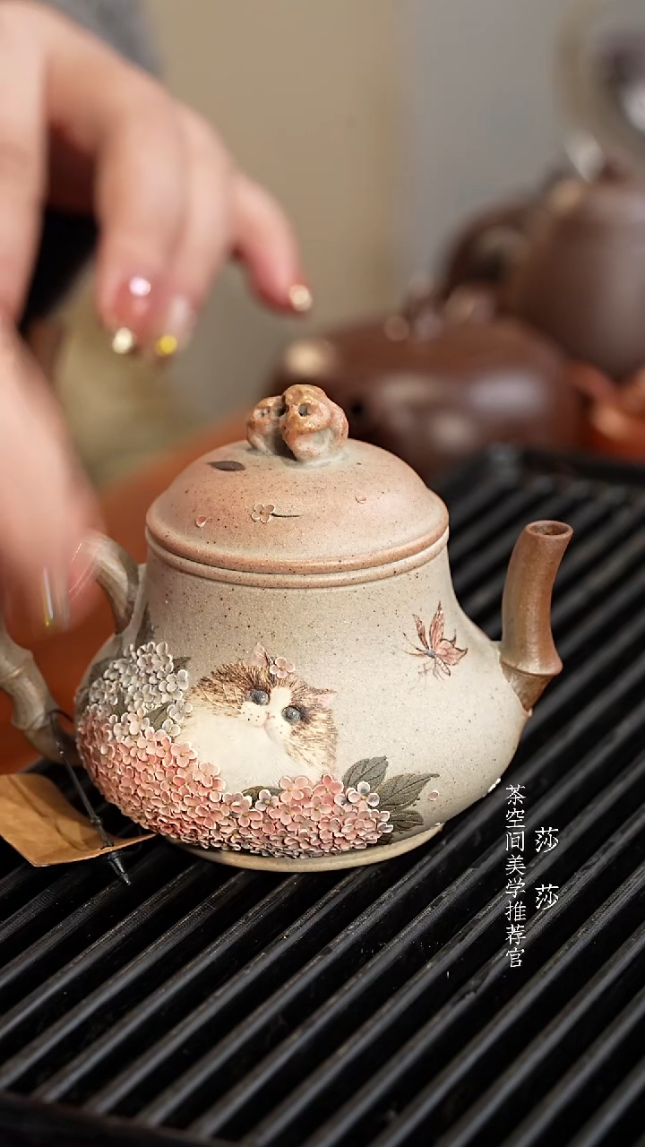 【闪购商品】柴烧大漓-布偶猫柴烧大漓-布偶猫