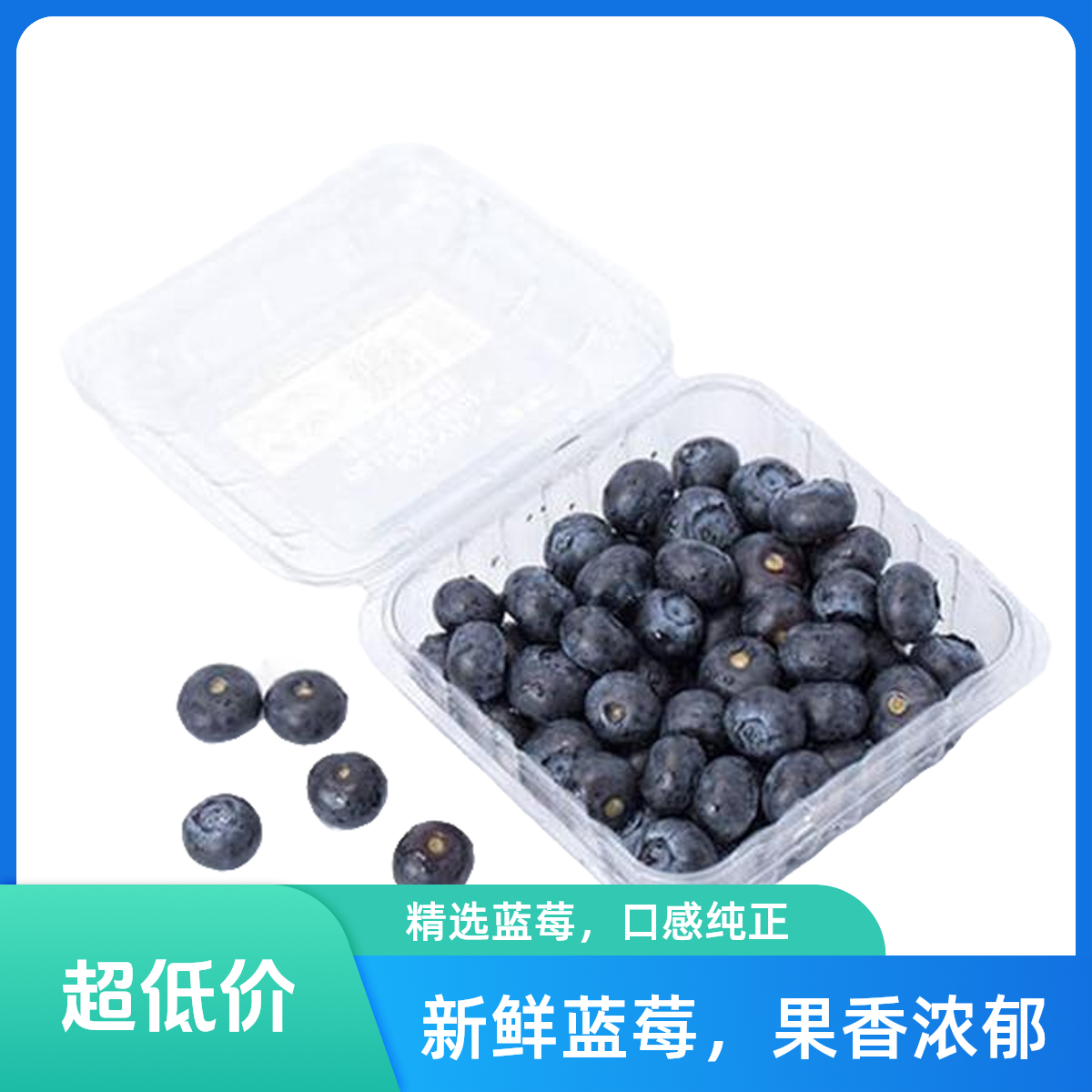 【苗越精选】正宗云南(蓝宝宝) 蓝莓18mm+ 一盒125g