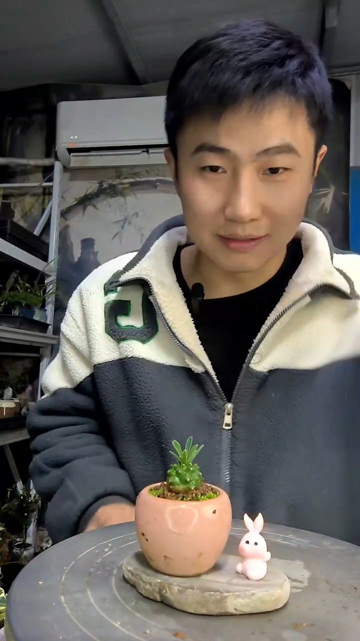 **中青园艺一物一拍花119