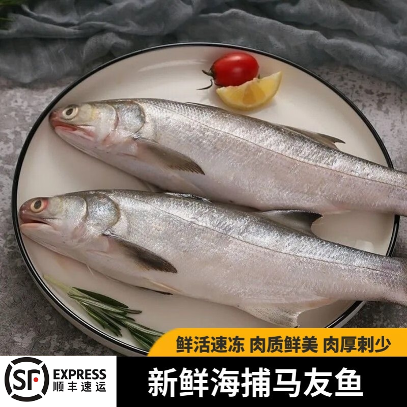 【新鲜海捕】海捕午鱼马友鱼午笋鱼深海水产鲜活冷冻