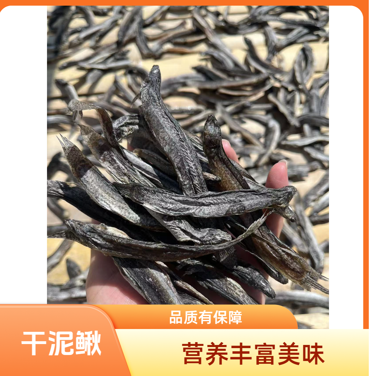 舒城农家特产自然晒干泥鳅干纯野生溪流沙泥鳅