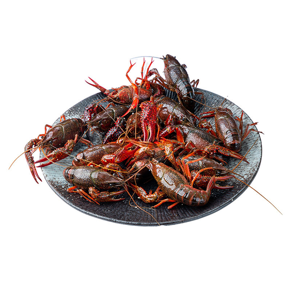 【量贩装】鲜活中号小龙虾 1.5kg(约54-84只）
