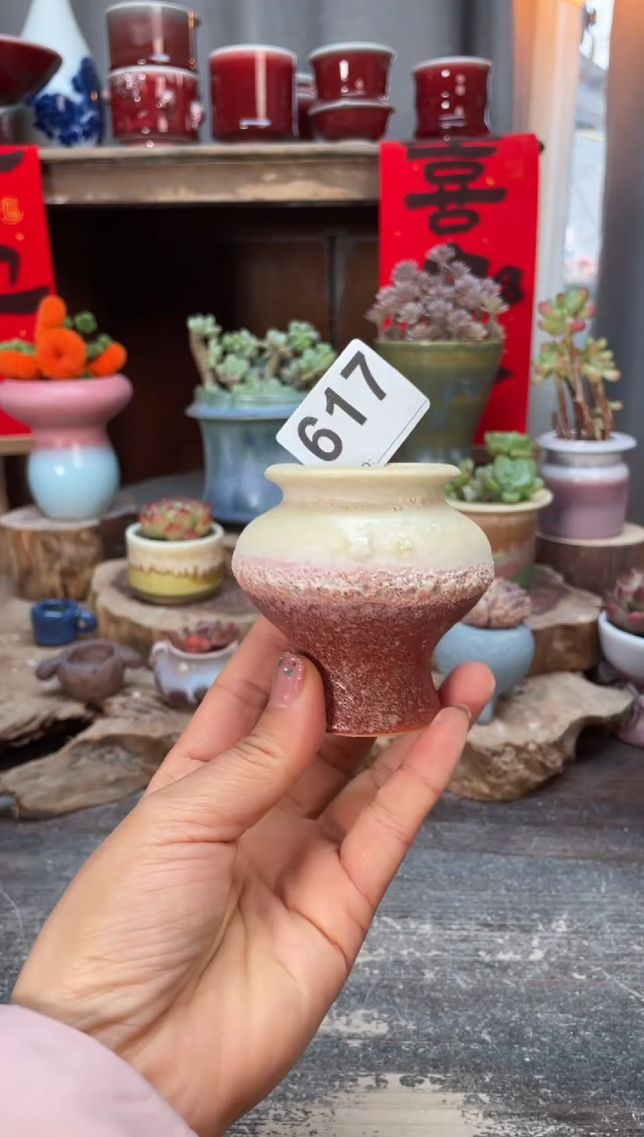 【闪购商品】摆件617知木小芳花盆