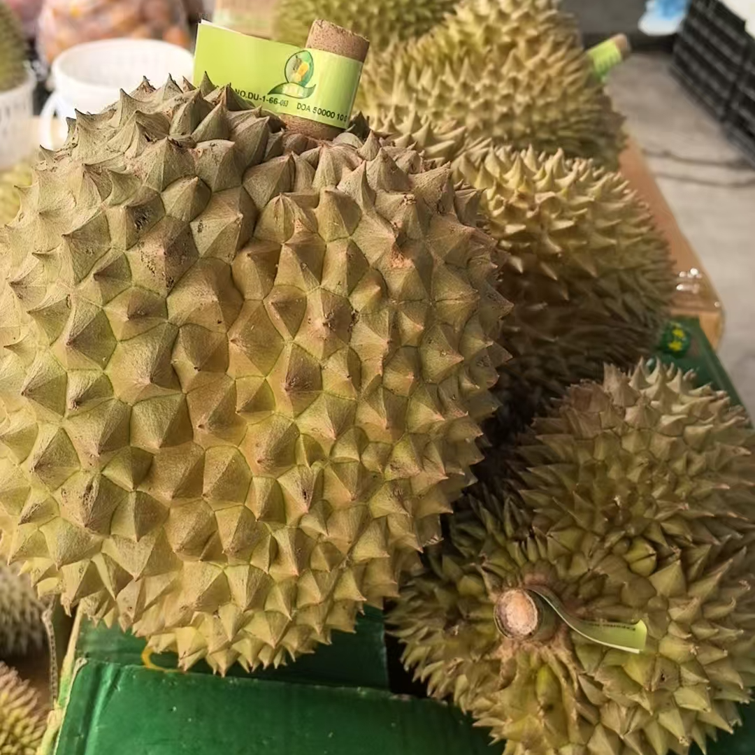 泰国新鲜金枕榴莲8.5-8.9斤左右核大核小（口感不好包退款）金枕泰国