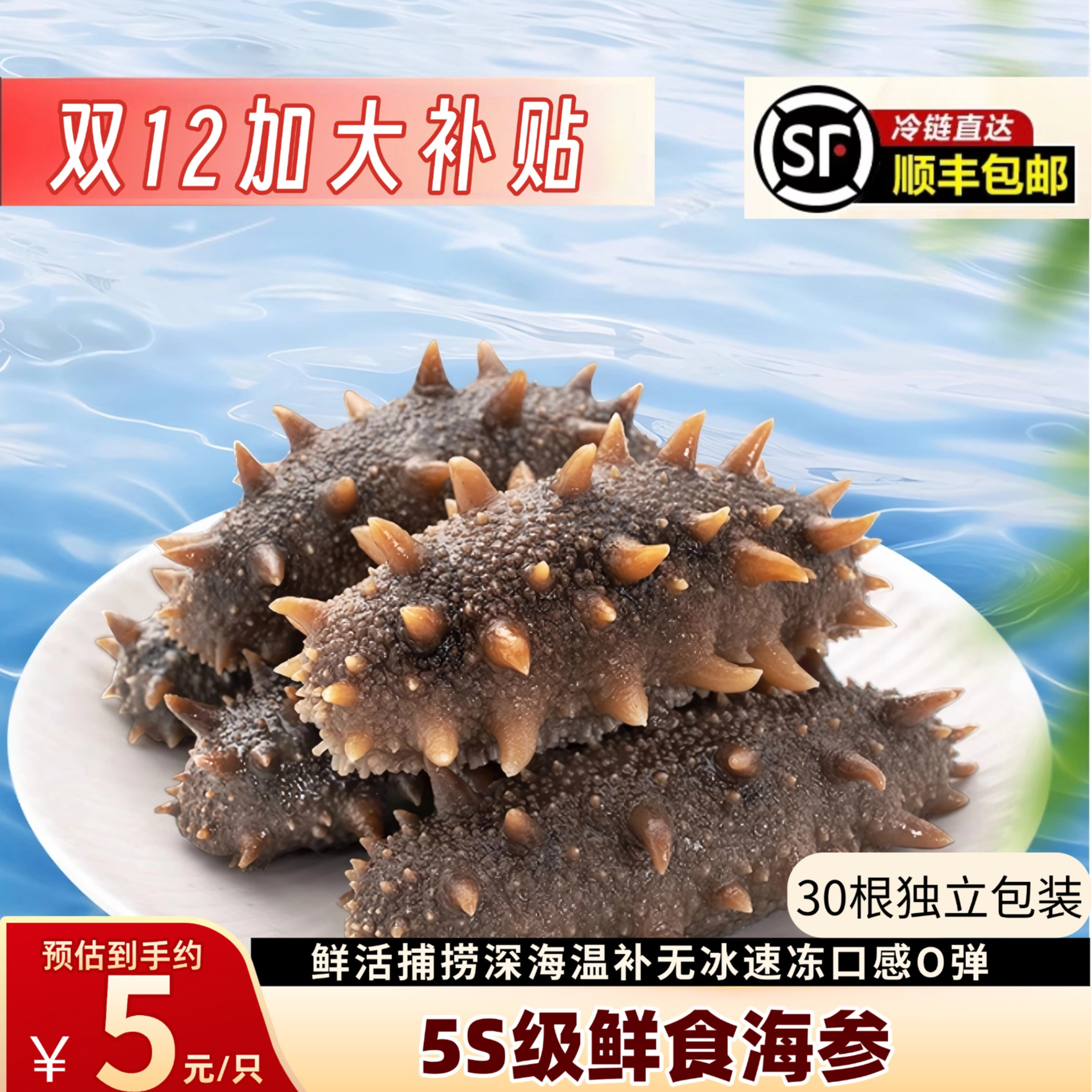 30头1份即食海参现称胖乎7-8公分海参无冰顺丰包邮冷冻保存