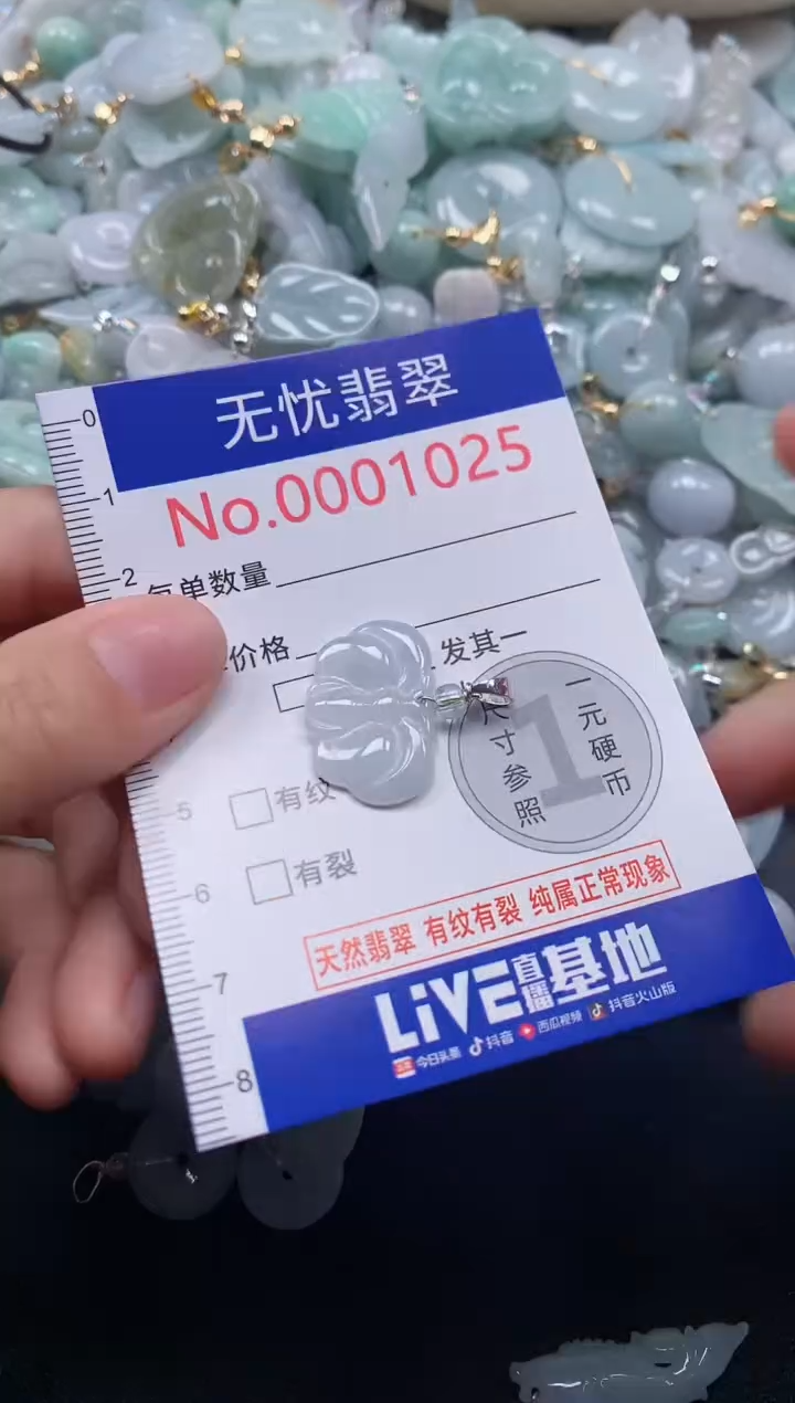 颈饰未镶嵌翡翠1025