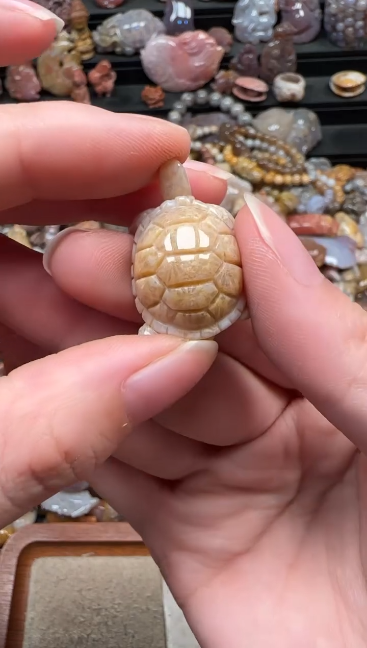 颈饰未镶嵌硅化珊瑚（珊瑚玉）096