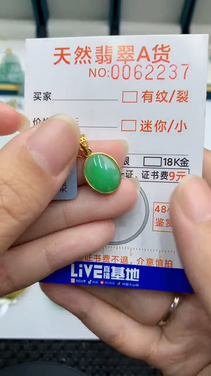 【闪购商品】翡翠颈饰银S925镶嵌            8