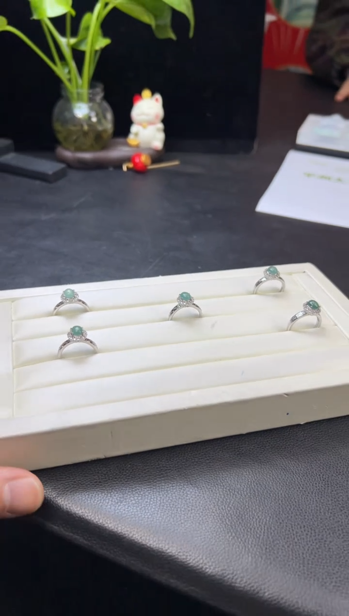 【闪购商品】翡翠戒指银S925镶嵌2125188T多样性发一件