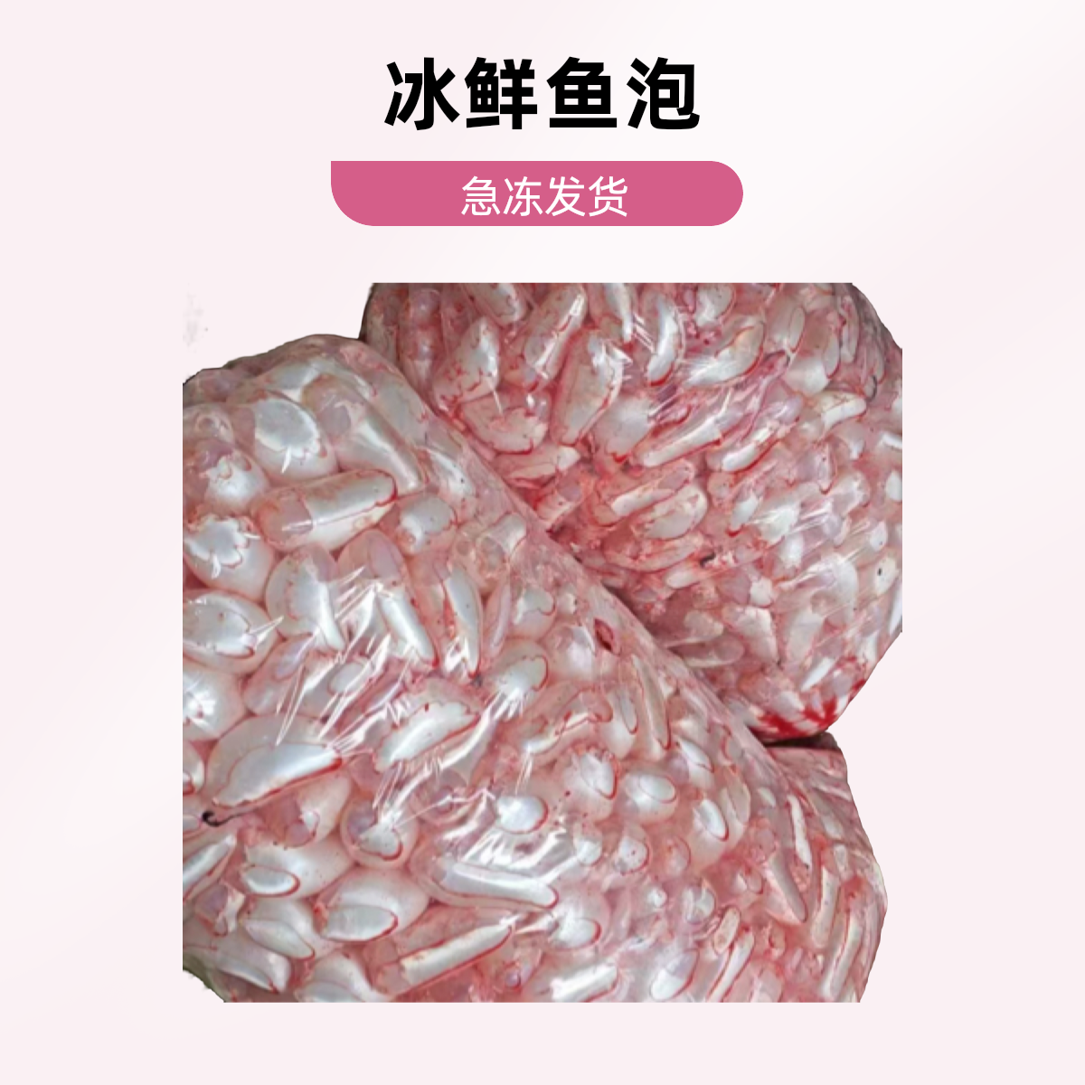 1斤装 新鲜白鲢鱼泡扎破发货